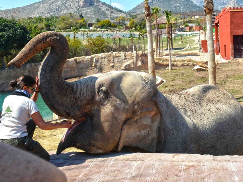Benidorm: Terra Natura Theme Park 1-Day Tickets - Why Terra Natura works as a Benidorm day out