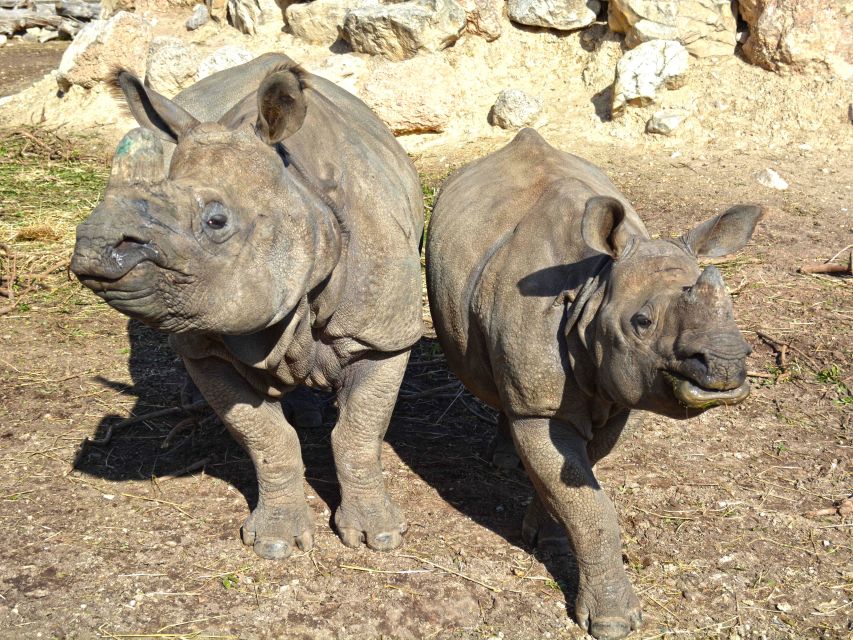 Benidorm: Terra Natura Theme Park 1-Day Tickets - Do not miss the birds of prey show