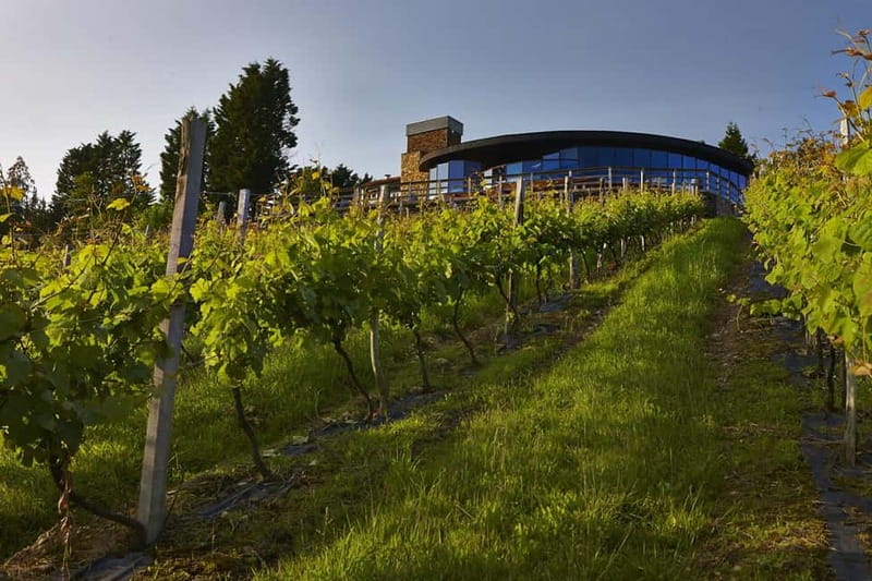 Bilbao: Gaztelugatxe, Bermeo, Mundaka, Gernika, & Wine Tour - Bodega Berroja and the taste of txakoli