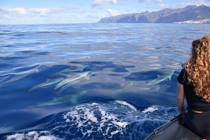 Bonadea II Ecological Whale Watching, 2 hours - How the conservation rules improve the outing