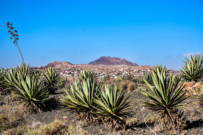 Buggy Fuerteventura Off-Road Excursions - The dust factor: treat it as part of the deal