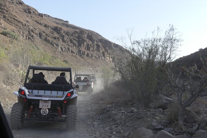 Buggy Tour Gran Canaria - From the reservoir to palms and prickly pears