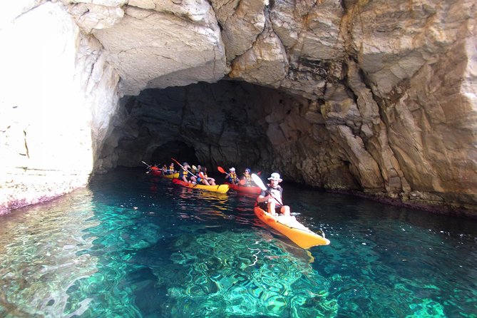 Cabo de Gata Active. Guided kayak and snorkel route through coves of the Natural Park - The snorkeling stop and what you may see below