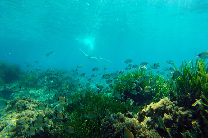 Cabo de Gata Active. Guided kayak and snorkel route through coves of the Natural Park - A short beach break and the return route