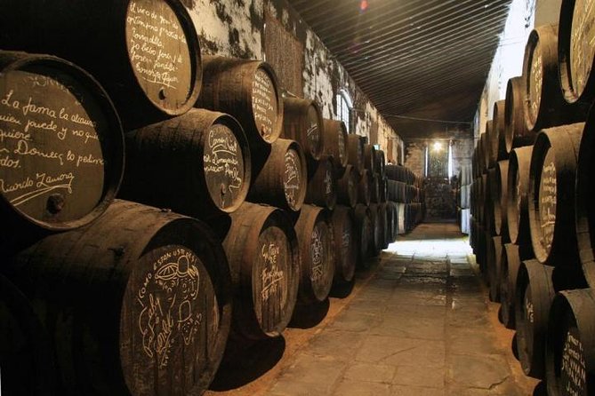 Cadiz and Jerez Day Trip from Seville - Transport, group size, and the real pace of the day