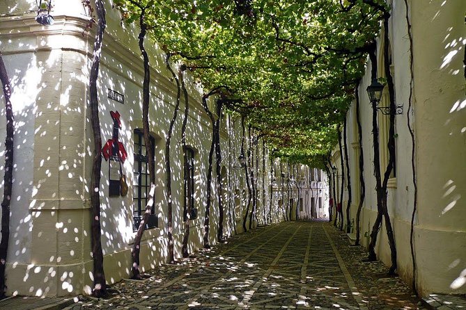 Cadiz and Jerez Day Trip from Seville - Practical advice for a smoother day