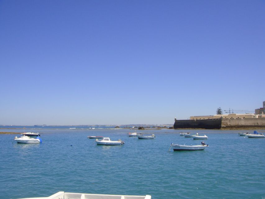 Cádiz: Bay of Cádiz Catamaran Tour with Host - Who will enjoy this Cádiz cruise most?