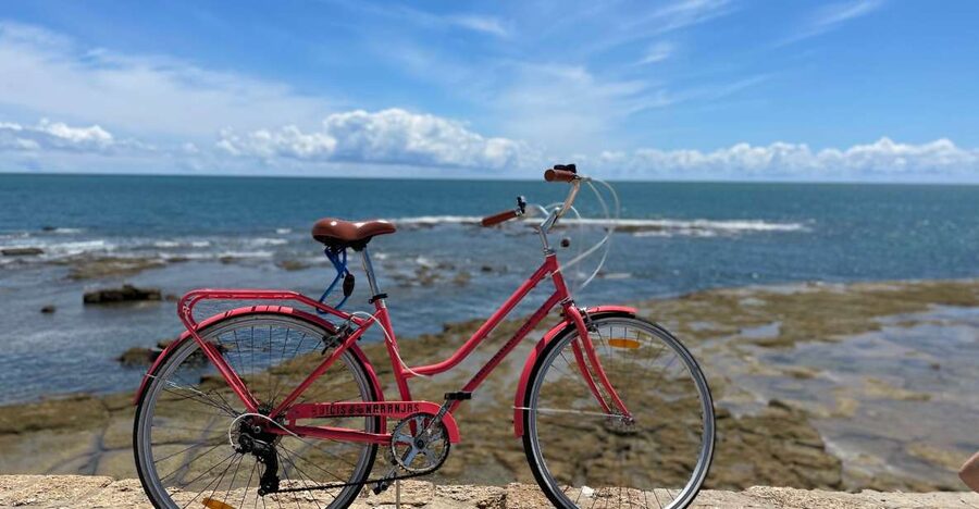 Cadiz: City Bike Tour - Is $40 good value?