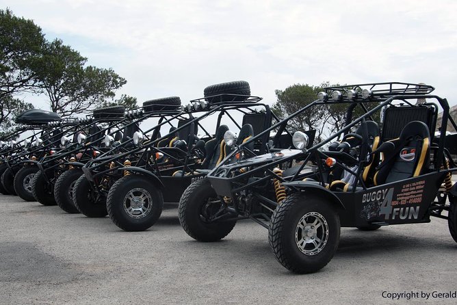 "Cala Millor & Sa Coma: TOP Buggy Tours – your mega experience!" - Porto Cristo and Torre Serral dels Falcons