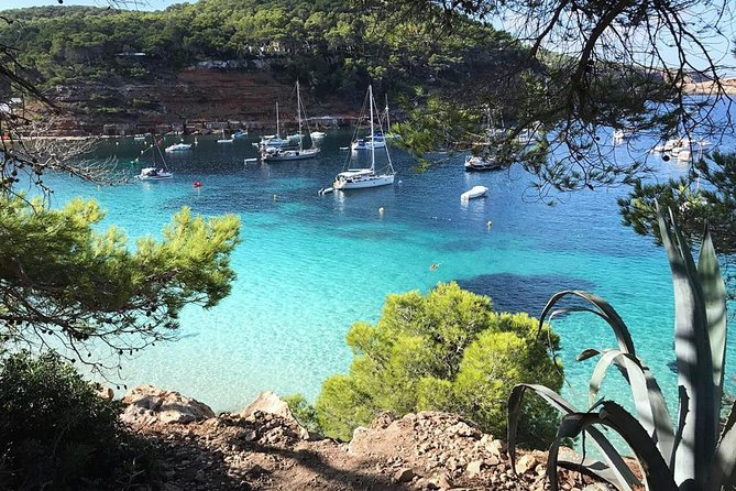 Cala Salada and Unspoiled North Beach Tour. Snorkelling and Aquarium - Leaving San Antonio at 11 am