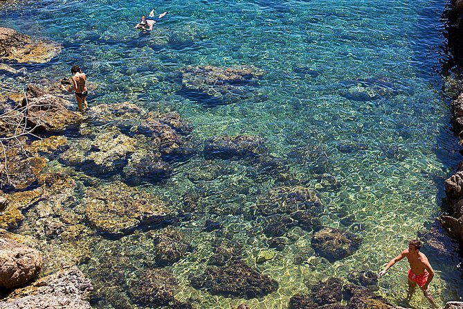 Cala Salada and Unspoiled North Beach Tour. Snorkelling and Aquarium - Paella, drinks, and the real value of $50.81