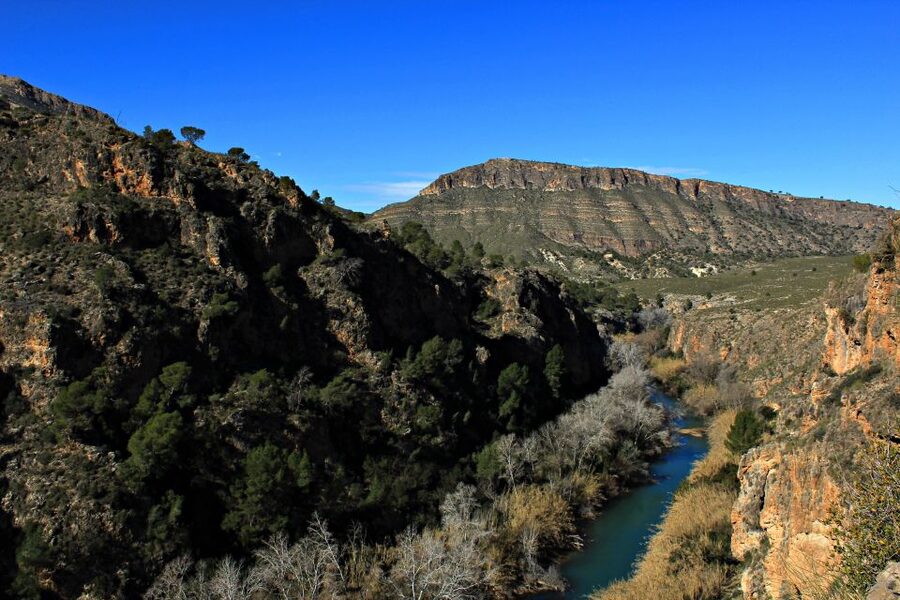 Calasparra: Almadenes Canyon Rafting with Caves and Rock Art - The second sailing section and swimming in the Segura