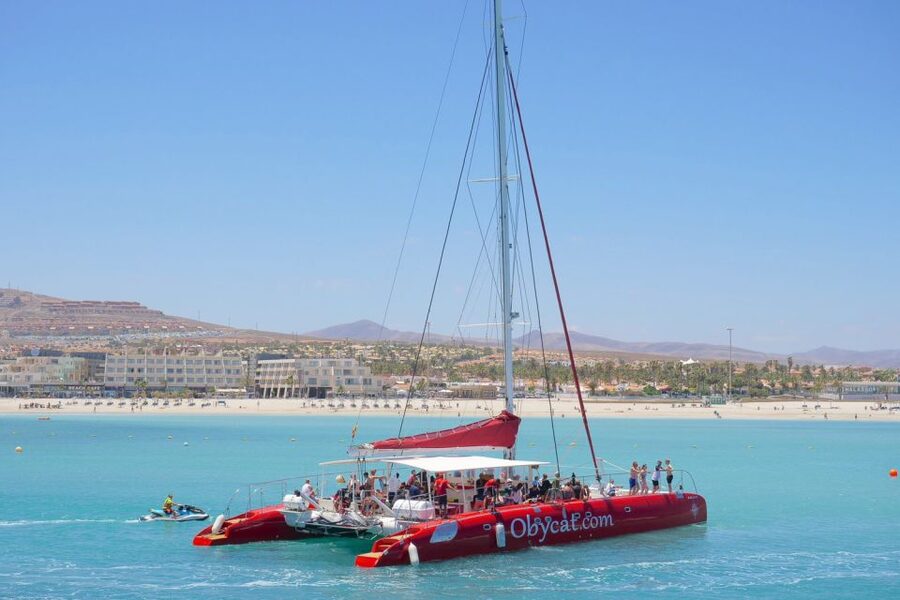 Caleta de Fuste: Catamaran Sailing Experience - Key points to know before you sail