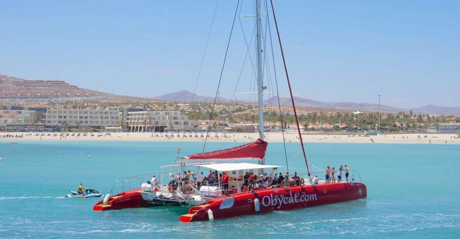 Caleta de Fuste: Catamaran Sailing Experience - Setting out from Caleta de Fuste Marina