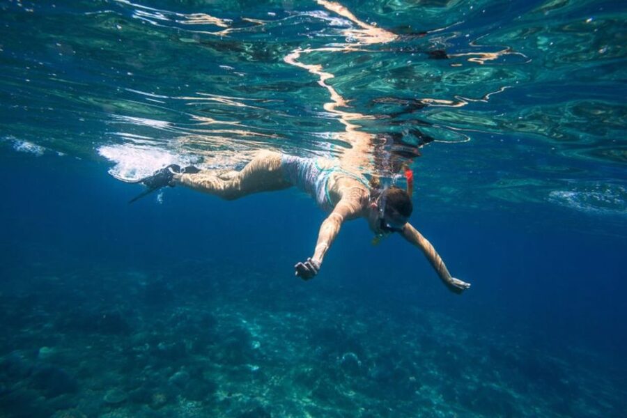 Caleta de Fuste: Catamaran Sailing Experience - Pozo Negro Bay and the swim stop