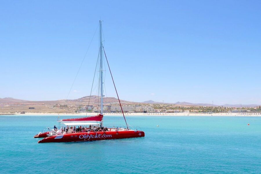 Caleta de Fuste: Catamaran Sailing Experience - Paella, Canarian potatoes, and fresh fruit