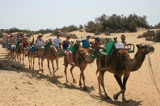 Camel Riding in Maspalomas Dunes - Crossing the Reserva Natural Especial de Las Dunas de Maspalomas