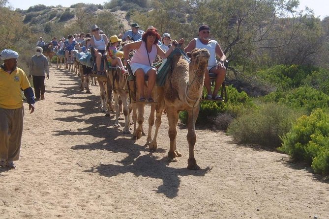 Camel Riding in Maspalomas Dunes - Finding the Meeting Point and Getting There