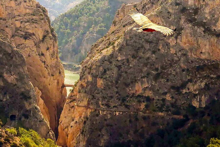 Caminito del Rey: Entry Ticket - Why Caminito del Rey is more than a cliff walk