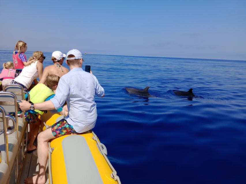 Can Picafort: Dolphin Watching Boat Tour with Swimming - Setting out from Can Picafort Marina