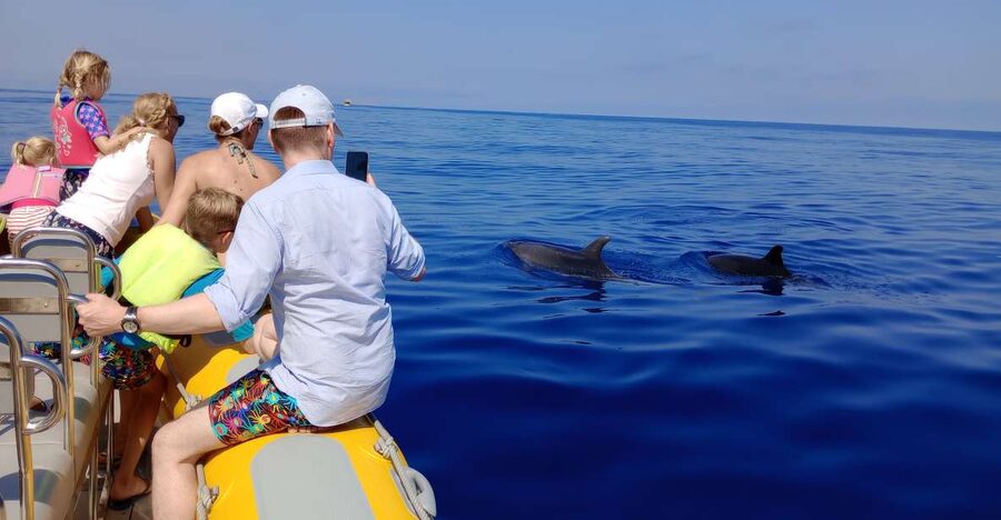 Can Picafort: Dolphin Watching Boat Tour with Swimming - Looking for dolphins in their natural home