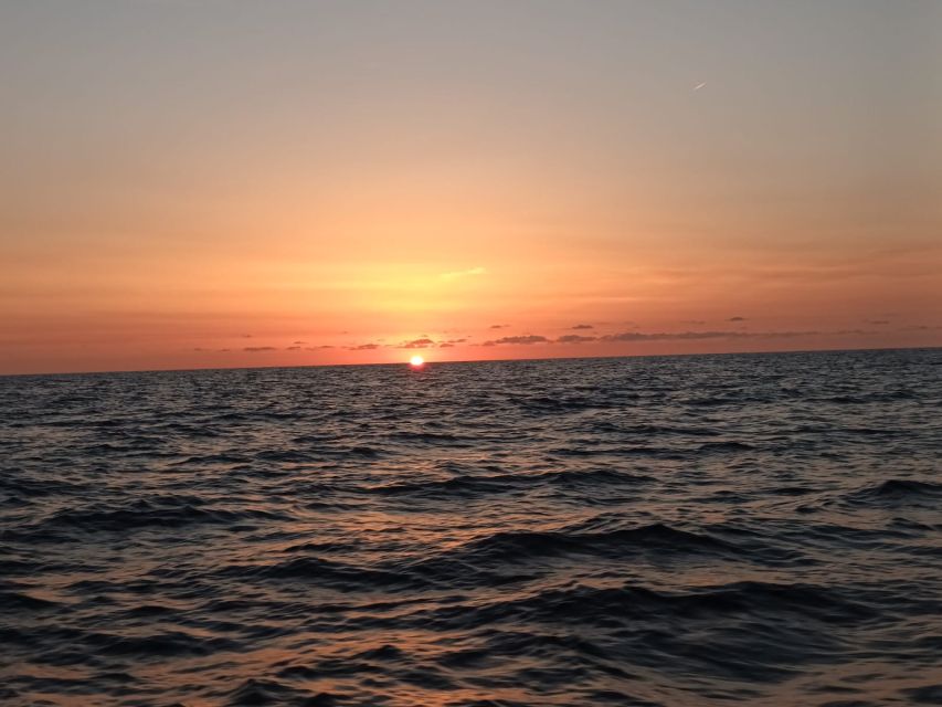 Can Picafort: Dolphin Watching Boat Tour with Swimming - Swimming and snorkeling in the cove