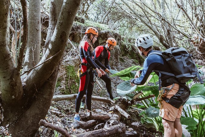Canyoning with Waterfalls in the Rainforest - Small Groups ツ - The 2-kilometer approach is part of the adventure
