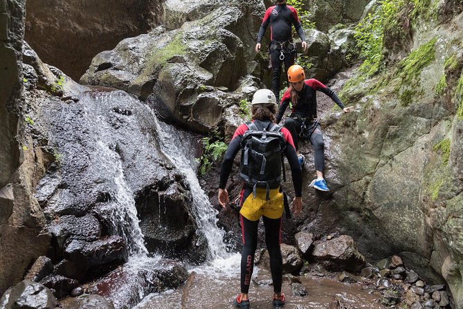 Canyoning with Waterfalls in the Rainforest - Small Groups ツ - Is $102.19 a fair price?