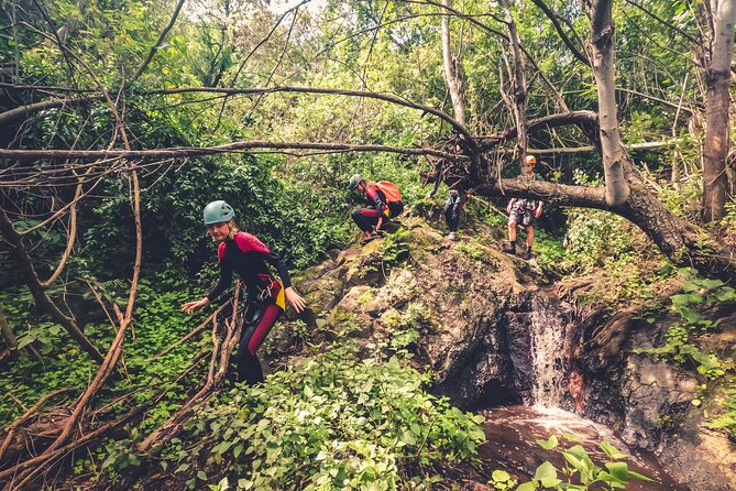 Canyoning with Waterfalls in the Rainforest - Small Groups ツ - Who should book, and who should skip it