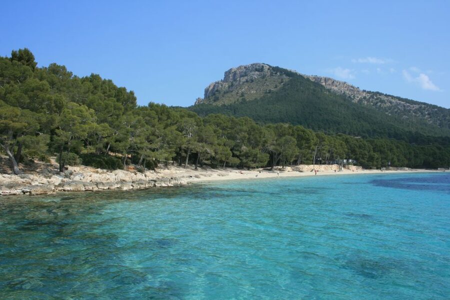 Cap de Formentor: Market, Beach, and Alcudia Tour - Should you book Cap de Formentor, Market, Beach, and Alcudia?