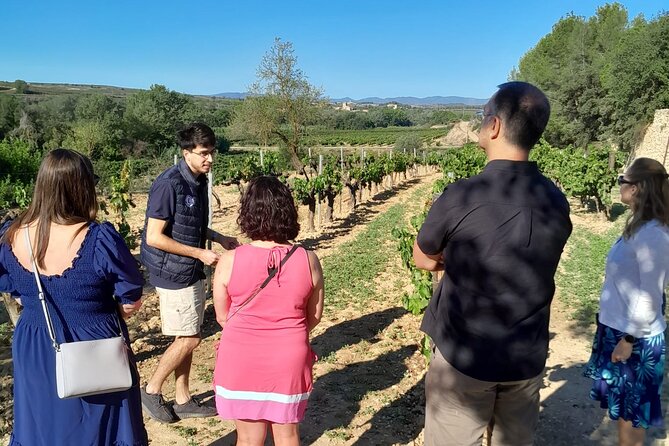 Cava tour to 3 family wineries with hotel pick-up - What the $211.72 price includes