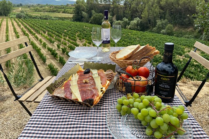 Cava tour to 3 family wineries with hotel pick-up - Who will enjoy this cava day most