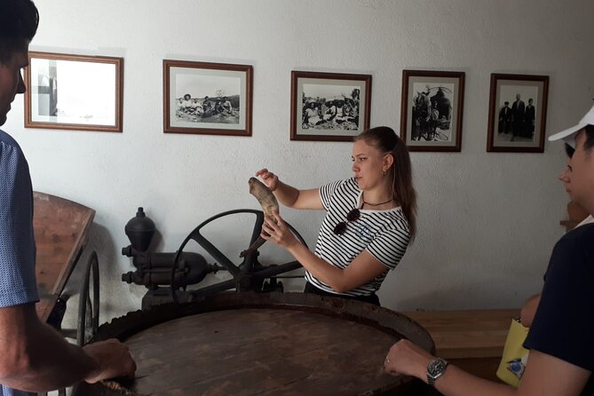 Cava tour to 3 family wineries with hotel pick-up - Giro del Gorner and lunch under the vines