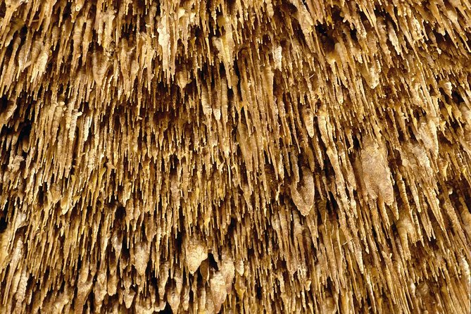 Caves of Drach Half-Day Tour with Boat Trip and Music Concert - Majorica Pearls and your free time
