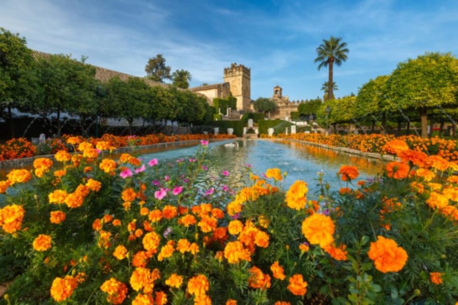 Cordoba: Alcazar of Christian Monarchs 1–Hour Guided Tour - Roman mosaics and a preserved sarcophagus