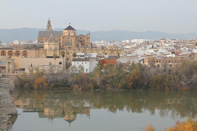 Cordoba & Carmona with Mezquita, Synagoge & Patios from Seville - San Basilio Patios and Córdoba’s Home Life