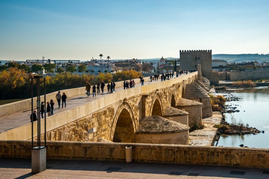 Córdoba: City Sightseeing Hop-On Hop-Off Bus Tour - The blue minibus reaches Córdoba’s intimate streets