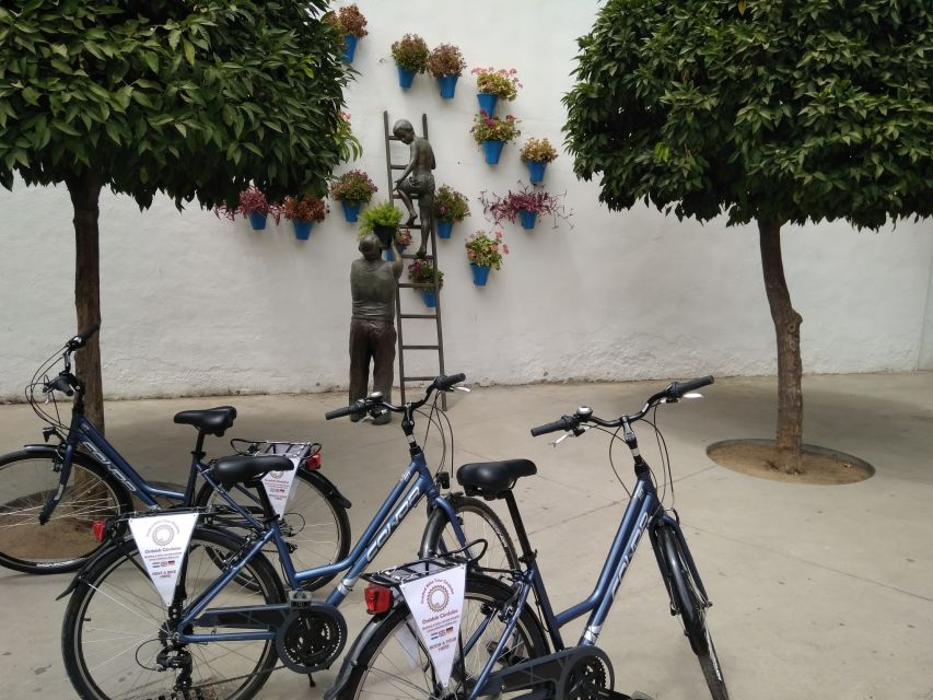 Córdoba Daily Highlights Bike Tour - The Jewish Quarter, patios, and quiet lanes