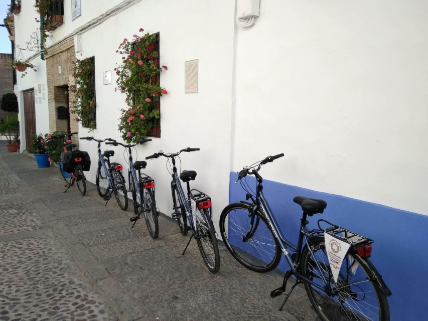 Córdoba Daily Highlights Bike Tour - The guide makes the difference