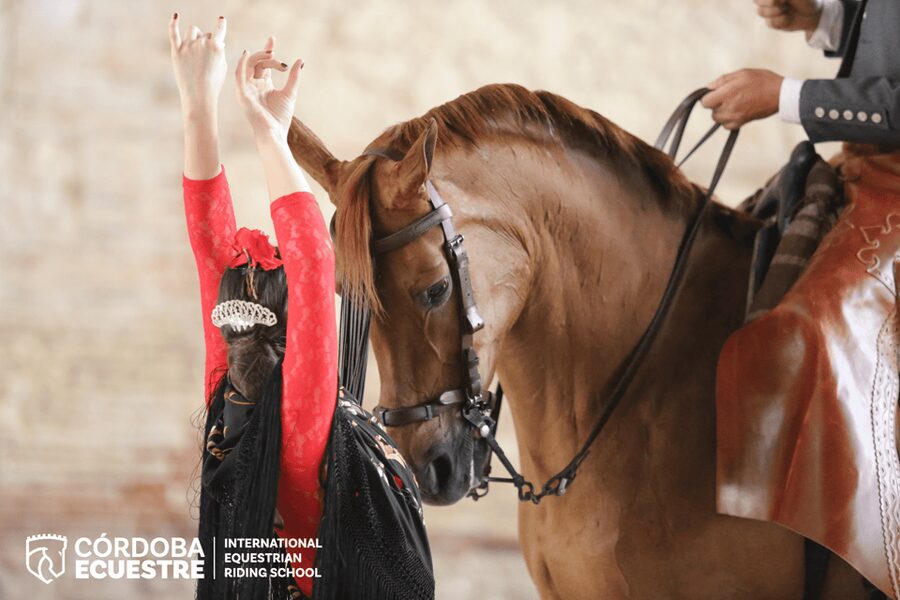 Cordoba: Equestrian Show General Entry - What makes the Córdoba horse show worth your evening