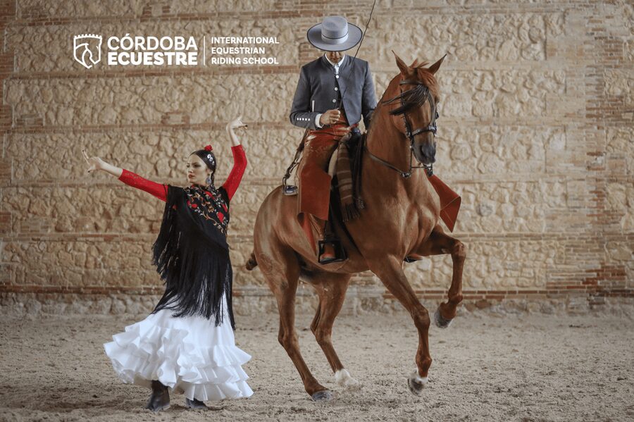 Cordoba: Equestrian Show General Entry - The horses are the real stars