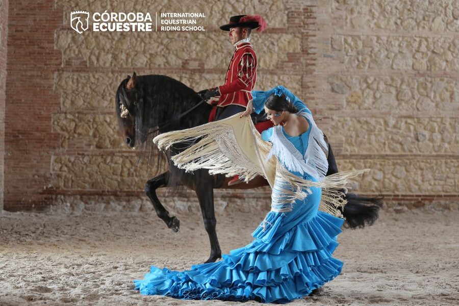 Cordoba: Equestrian Show General Entry - Who will enjoy this most?