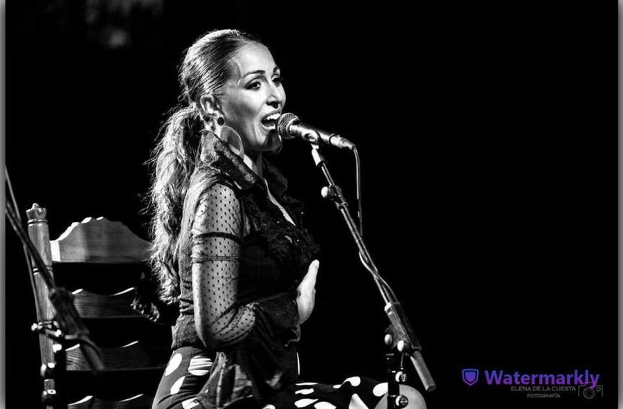Córdoba: Flamenco Show Ticket with Drinks - Key points to know before booking