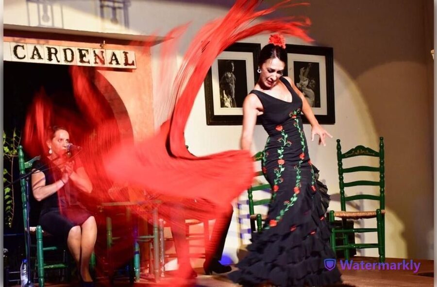 Córdoba: Flamenco Show Ticket with Drinks - The opening: guitar, voice, and the language of flamenco