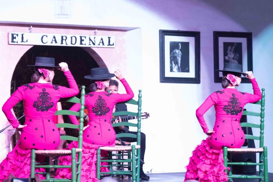 Córdoba: Flamenco Show Ticket with Drinks - The dancers bring several flamenco styles to life