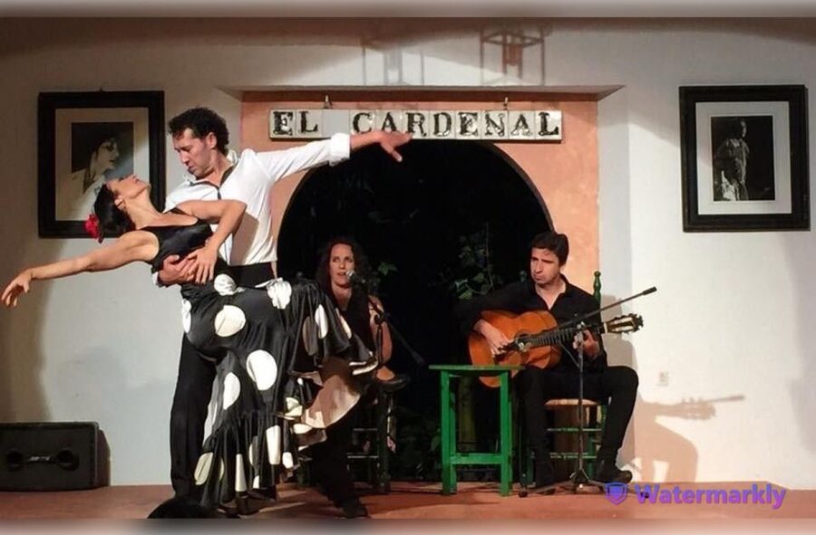 Córdoba: Flamenco Show Ticket with Drinks - What makes the show feel authentic