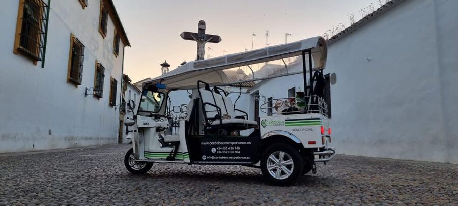 Córdoba: Guided City Tour by Tuk-Tuk - A guide-led ride with room for questions