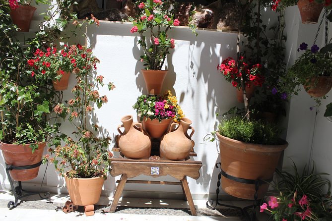 Cordoba Guided Tour Mosque and Cathedral from Seville - Lunch, shopping, and limited free time