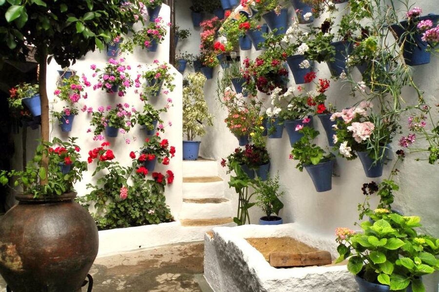 Córdoba: Guided Tour of the Patios - Key points to know before booking