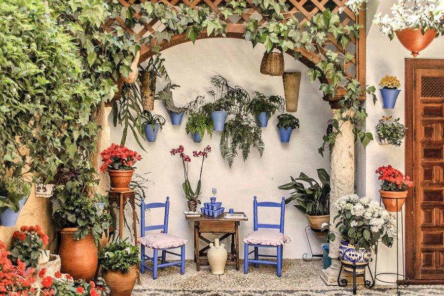 Córdoba: Guided Tour of the Patios - Why Córdoba’s patios matter